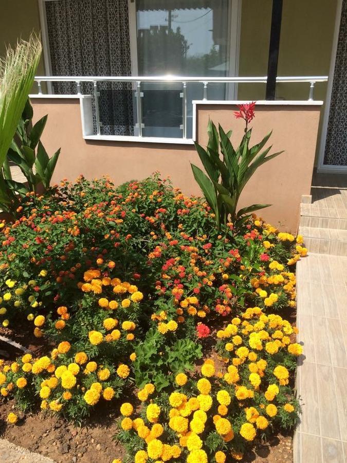 Esmeralda Apart Butik Otel คิซิลอท ภายนอก รูปภาพ