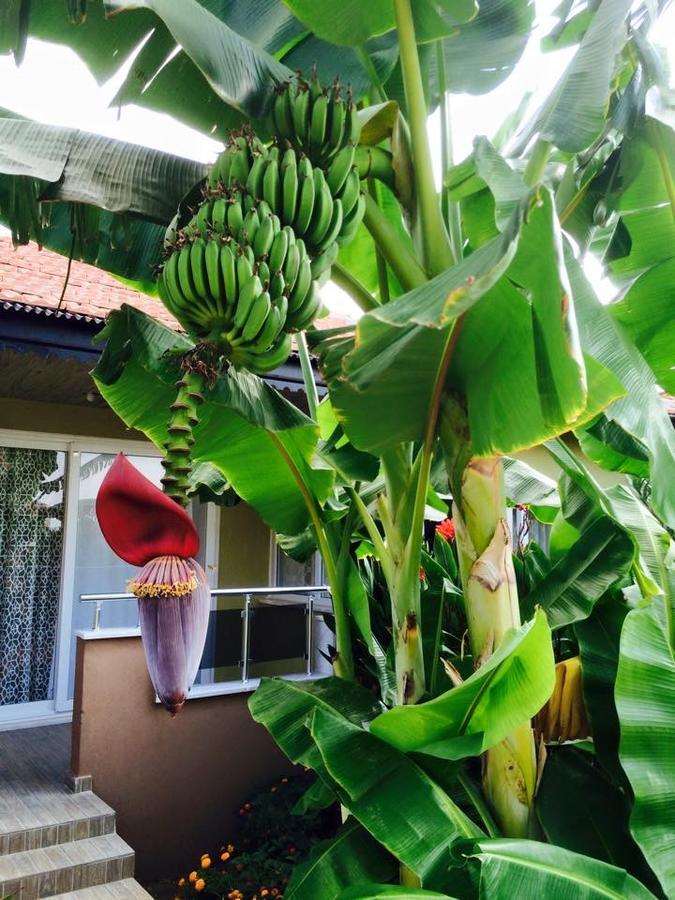 Esmeralda Apart Butik Otel คิซิลอท ภายนอก รูปภาพ